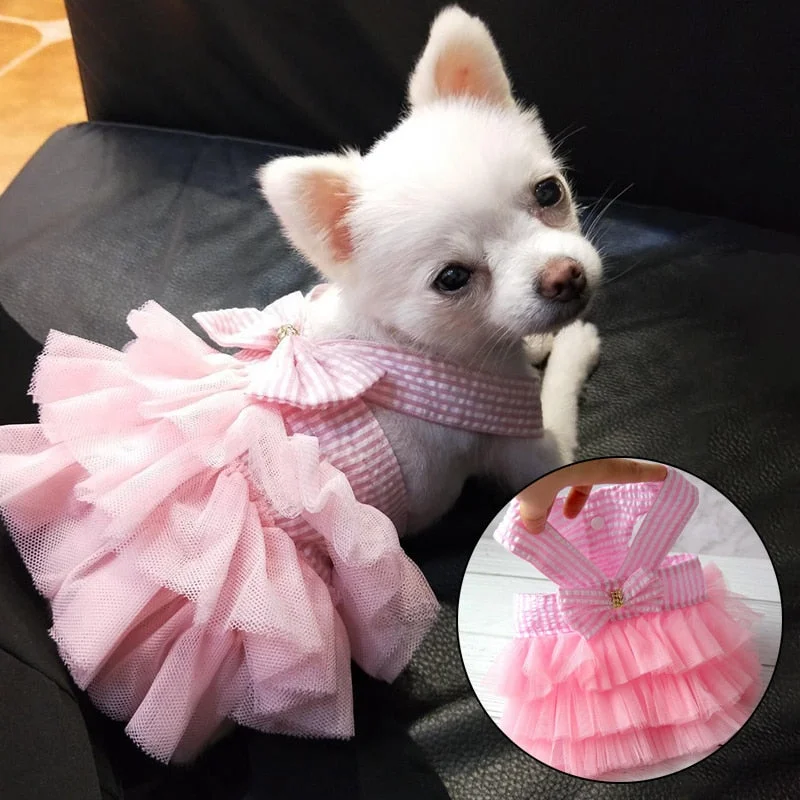 Dog Summer Dress Cat Lace Skirt Pet Clothing Chihuahua Stripe Skirt Puppy Cat Princess Apparel Cute Puppy Clothe Dog Accessories Dog Summer Dress Cat Lace Skirt Pet Clothing Chihuahua Stripe Skirt Puppy Cat Princess Apparel Cute Puppy Clothe Dog Accessories